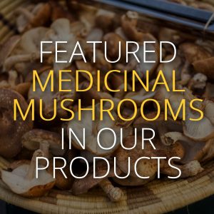 Featured Medicinal Mushrooms In Our Products