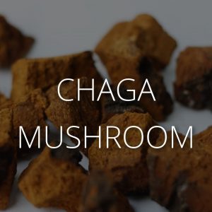 Chaga Mushroom Supplements Area 51 CBD Lab