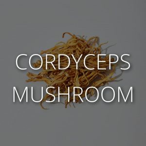 Cordyceps CBD Supplements