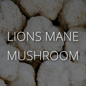 Lions Mane Mushroom CBD Supplements