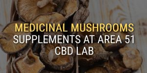 Medicinal Mushroom Supplements Area 51 CBD Lab