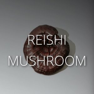 Reishi Mushroom CBD Supplements