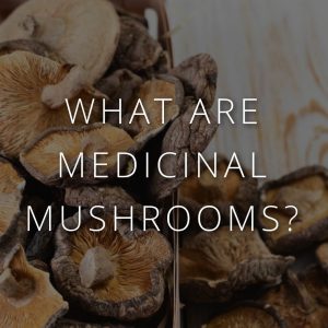 What Are Medicinal Mushrooms?